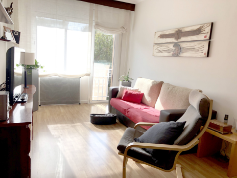 Spanish Boutique Apartments