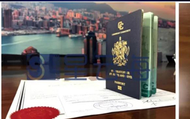 Good news keeps coming! Congratulations to Ms. Z for obtaining the Saint Kitts Nevis passport and ci